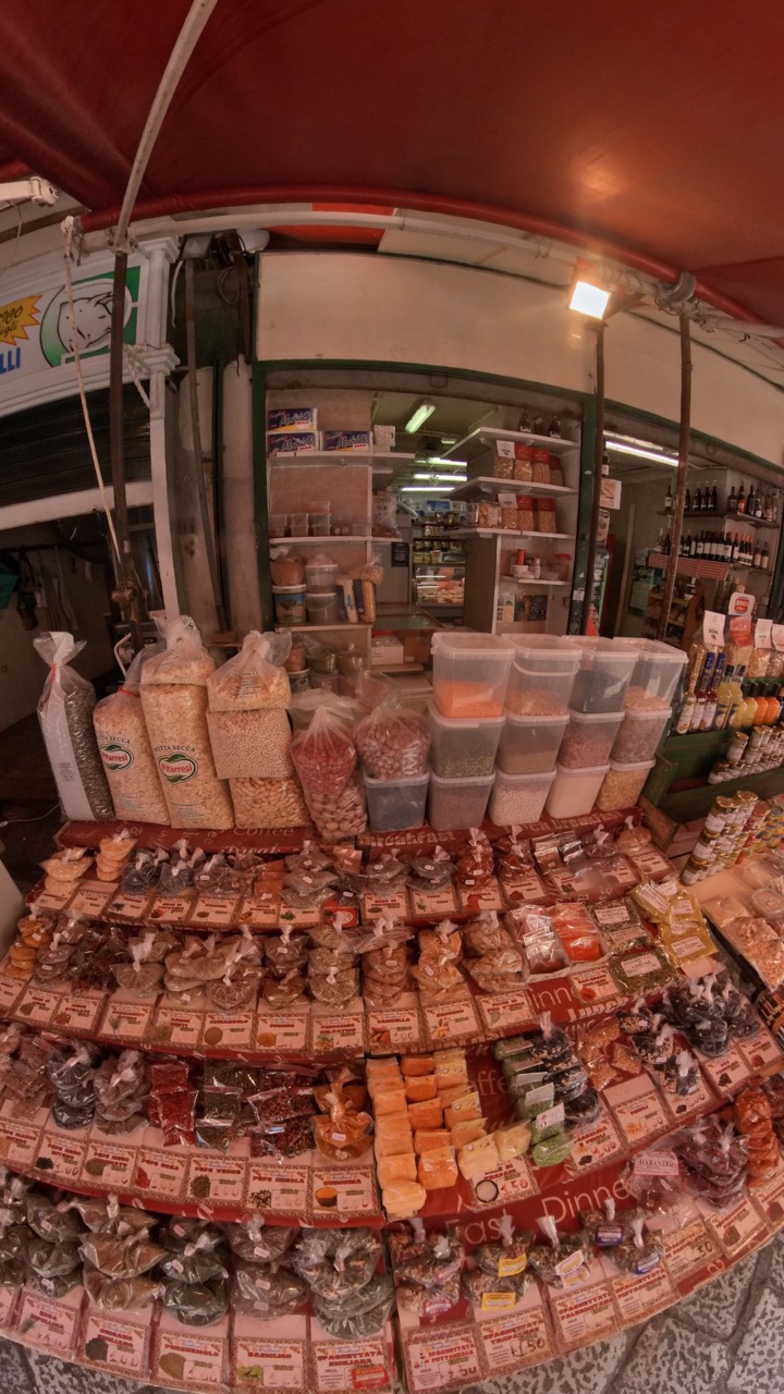 PalStWalk-IMG_20231012_135837_723 Large