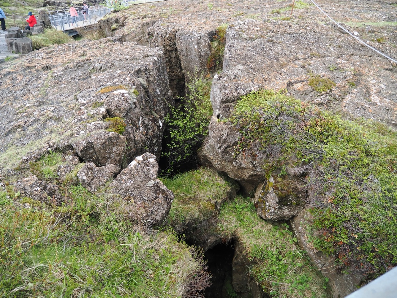 Edge of the North American plate – 185 Large